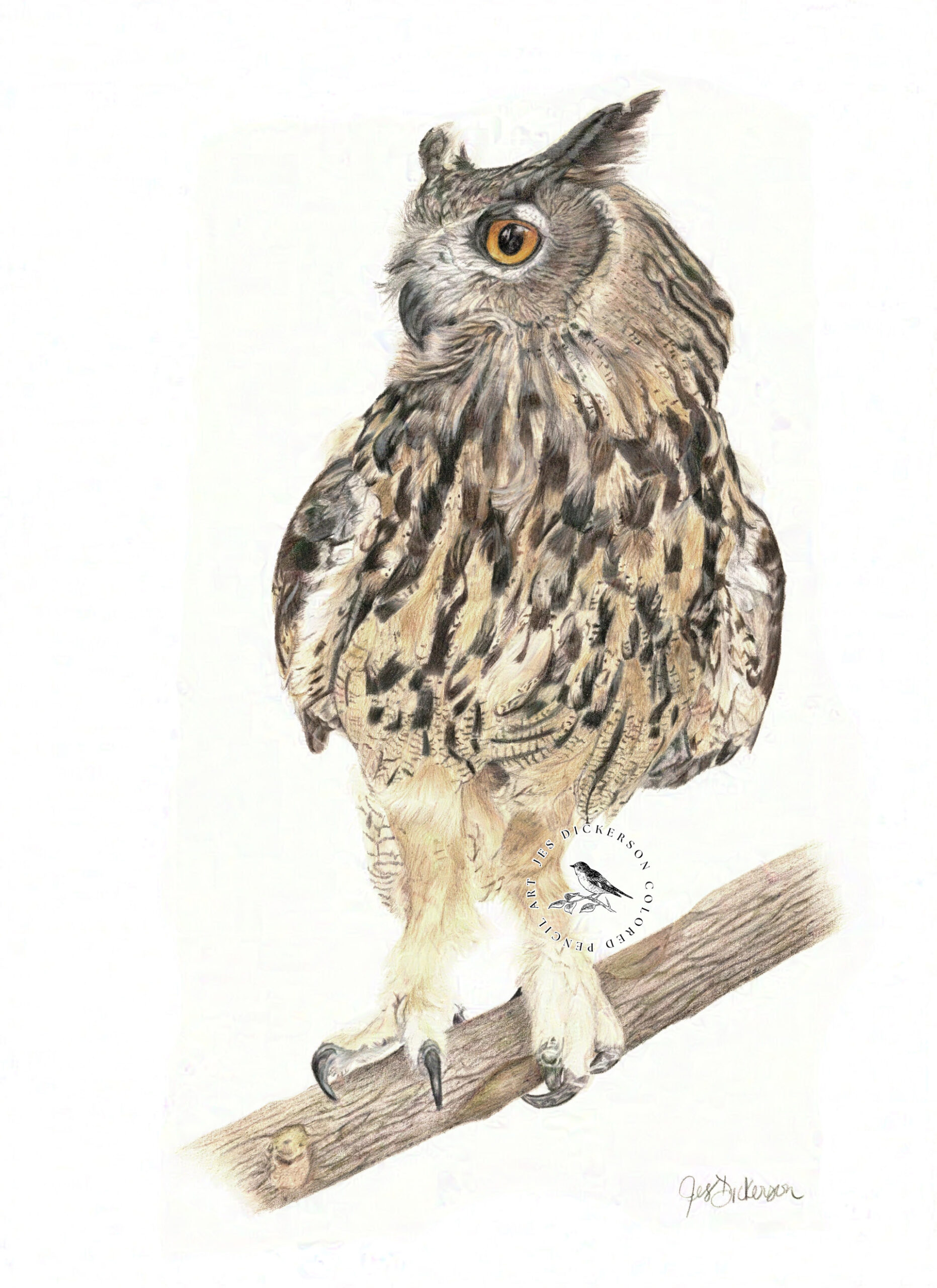 Colored pencil drawing of a European Eagle Owl